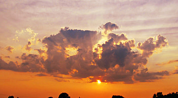 A True Sunset, setting, and, ghost, a, ghoul, clouds, trees, true, sky, sun, sunset, ky HD wallpaper