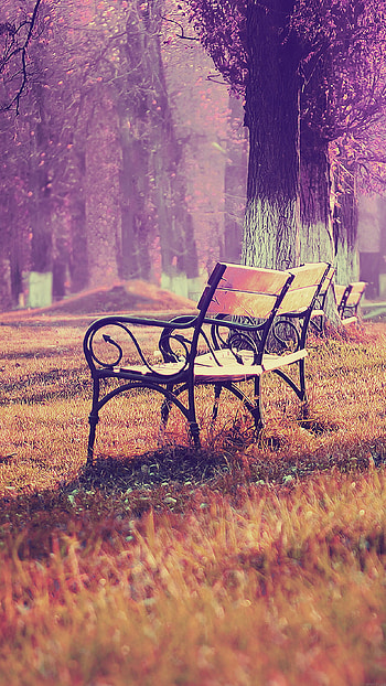 Park (Nature), fall blue, Park chair lonely, Nature HD phone wallpaper