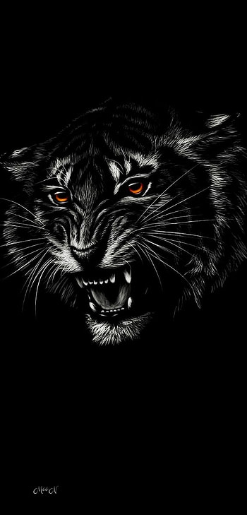 Tiger, eye, jaw HD phone wallpaper