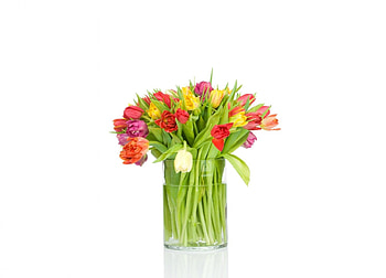 Happy Spring!, tulip, white, bouquet, vase, spring, green, yellow, red, card HD wallpaper