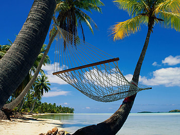 Landscape, Sea, Beach, Palms HD wallpaper