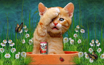 I Could Have Had a V8!, Animals, kitten, sweet, cute, digital art, funny, Cats HD wallpaper