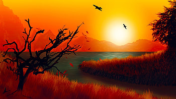 Sunset, winter, birds, fall, grass, lake, sunrise, Firefox theme, trees, autumn, sky, pond HD wallpaper