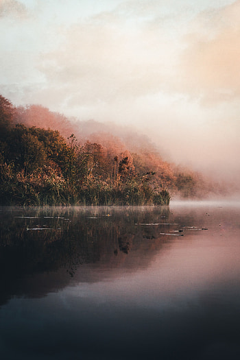 Landscape, Nature, Lake, Shore, Bank, Fog, Morning HD phone wallpaper