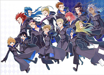 Organization XIII, Zexion, Axel, Larxene, Kingdom Hearts, Demyx, Vexen, Roxas, Saix, Xion, Xigbar, Marluxia, Oragnization XIII HD wallpaper