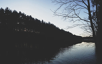 Rivers, Trees, Night, Shore, Bank, Dark HD wallpaper