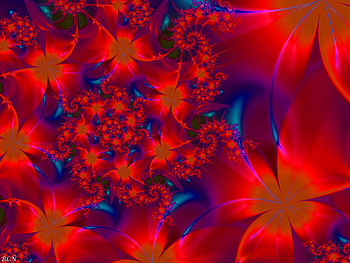 Abstract, Flowers, Patterns, Shine, Brilliance, Fractal HD wallpaper