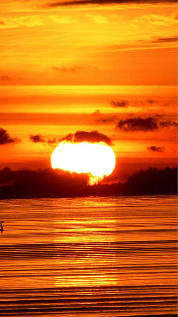 Sunset, Golden Sun Sunset HD phone wallpaper