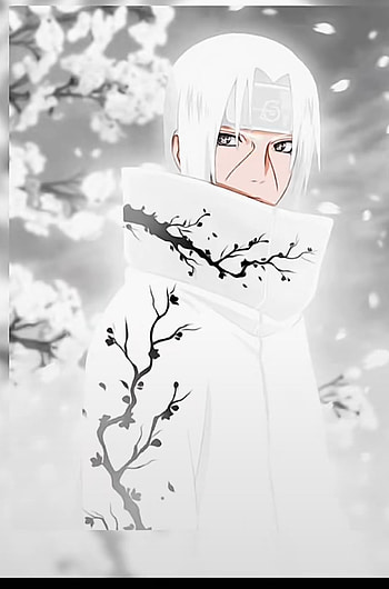 Itachis god mode, art, plant HD phone wallpaper
