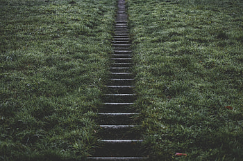 Nature, Grass, Blur, Smooth, Ladder, Stairs, Climb, Lift HD wallpaper