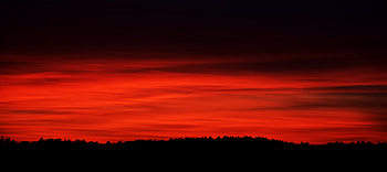 Trees, Sky, Horizon, Dark HD wallpaper