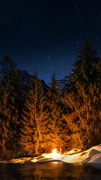 Campfire, Forest, Sony Xperia X HD phone wallpaper