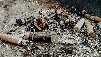 Discarded cigarette butts and a butterfly wing on ashy ground, highlighting pollution. HD wallpaper