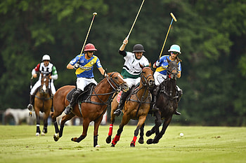 Polo Rider Cup, Horse Polo HD wallpaper