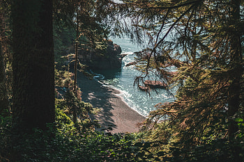 Landscape, Nature, Trees, Beach, Rocks, Coast HD wallpaper