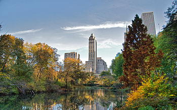 Excellent of Central Park, graphic masterpieces, Captivating visuals, Park exploration HD wallpaper