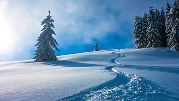 Beautiful Winter Scenery Frozen Trees Forest Snow Field In White Clouds Blue Sky Background Nature HD wallpaper