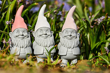 Why People Put Gnomes, Gardens HD wallpaper