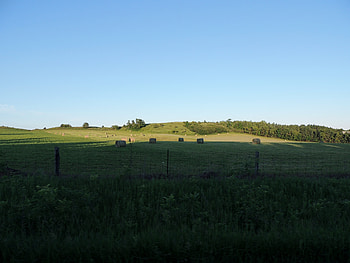 Field Of Hay, graphy, Grass, Fence, Field, Nature, Hay, Sky HD wallpaper