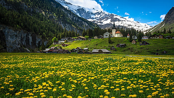 Urnerboden Valley, Canto of Uri, Switzerland, blossoms, clouds, landscape, meadow, sky, church, alps, mountains, village HD wallpaper