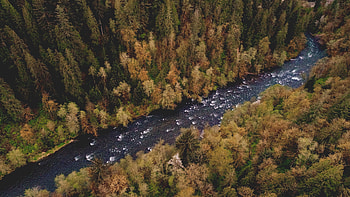 Aerial View Of River Between Trail Trees Bushes Forest Nature HD wallpaper