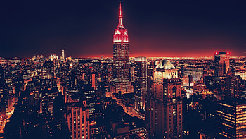 Empire State Building, , Stunning visuals, cat HD wallpaper