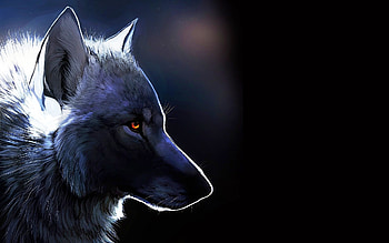 Cool Animal HD wallpaper