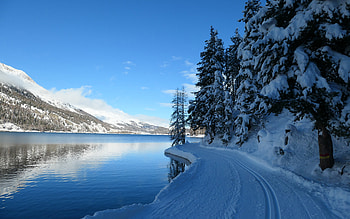 Lake Silvaplana Switzerland, Switzerland, silvaplana, snow, lake, winter HD wallpaper