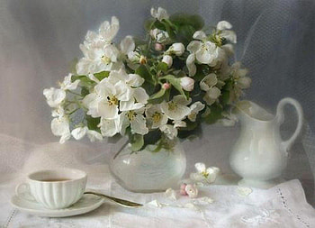 tea time with jasmine flowers, still life, jasmine flowers, graphy HD wallpaper