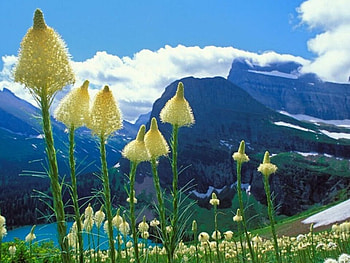 Travel Dwitzerland , dwitzerland, travel HD wallpaper