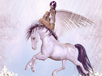 Purple Wings, Fantasy, Unicorn, Beauty, Purple HD wallpaper