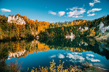 Nature, Water, Trees, Autumn, Lake, Reflection HD wallpaper