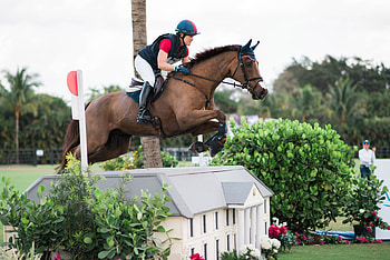 Dressage and eventing, Average wino, Eventing sports, Page 29 HD wallpaper