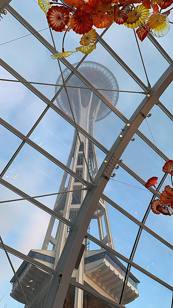Seattle Krakens logo, Tentacles, Space Needle HD phone wallpaper