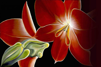 Digital Lily, digital, art, red, lily HD wallpaper