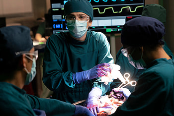 The Good Doctor, Live streaming, Cable- viewing, Hulu availability HD wallpaper