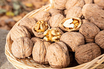 Walnuts (Food), Walnut orchard, Nature's bounty, Fresh harvest HD wallpaper