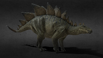 Stegosaurus 3D model, Mrtroodon, Digital sculpting, Paleontological accuracy HD wallpaper