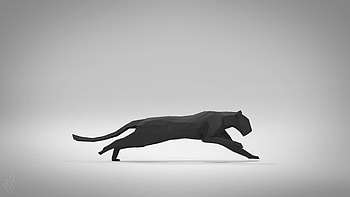 Geometric Animal, Abstract shapes, Animal kingdom, Graphic design HD wallpaper