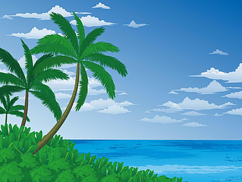 Palm trees and beach, palms, water, beach HD wallpaper