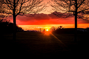 Nature, Trees, Sunset, Silhouette, Seclusion, Privacy, Stroll, Loneliness HD wallpaper