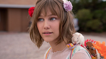 Hollywood Stargirl (2022 Movie), Movies, Stargirl book and movie, differences HD wallpaper