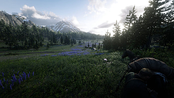 Red Dead Redemption 2, Video Game, Red Dead HD wallpaper