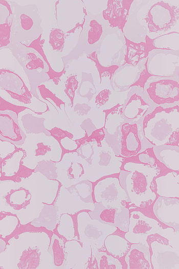 Abstract, Circles, Divorces, Stains, Spots HD phone wallpaper