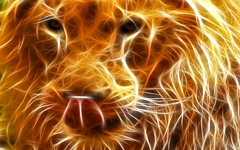 King, abstract, animals HD wallpaper