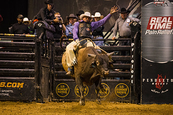 Big Sandy, Bullriding HD wallpaper