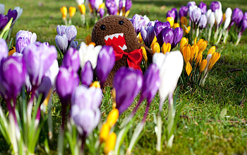 Nature, Flowers, Grass, Toy HD wallpaper
