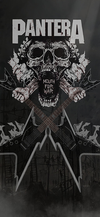 Pantera Band, heavymetal, groovemetal, panteraband, trashmetal HD phone wallpaper