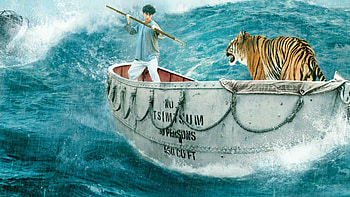 Life of Pi, Life of Pi , Unique designs, Pie-themed aesthetics HD wallpaper