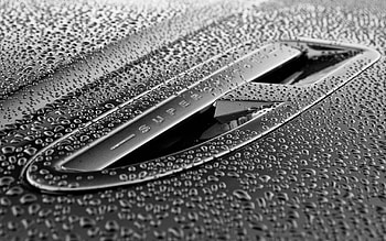 Macro, Wet, Surface, Shadow, Bw, Chb, Humid HD wallpaper